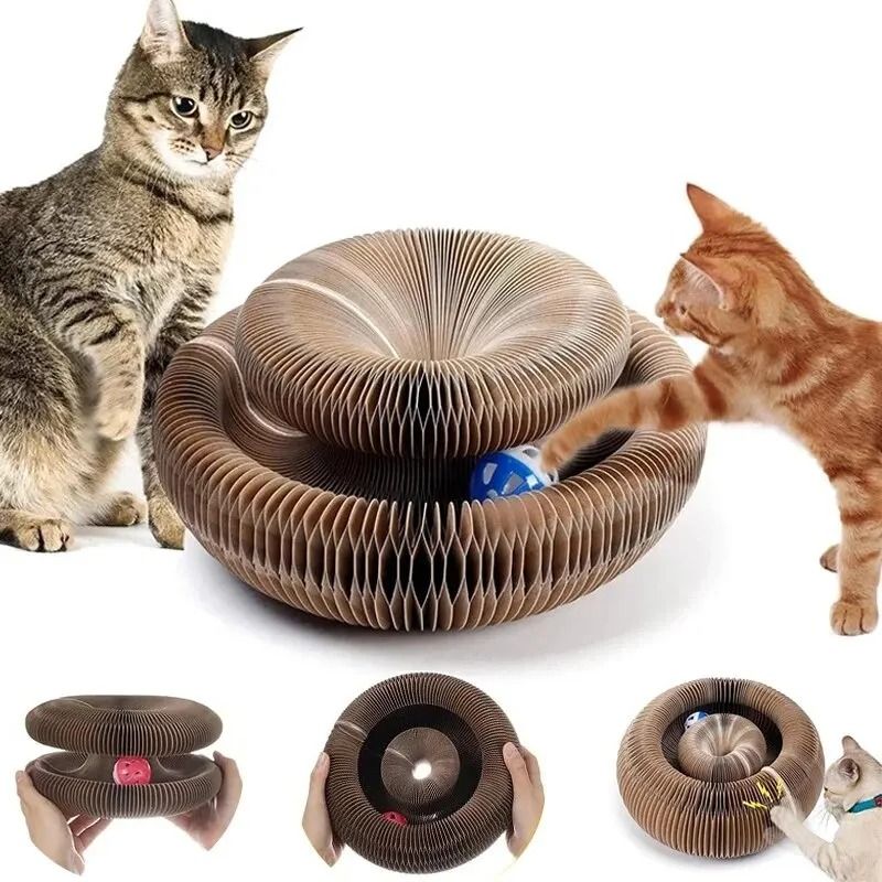 Magic Cat Scratch Organ Board Toy With Rolling Ball 6