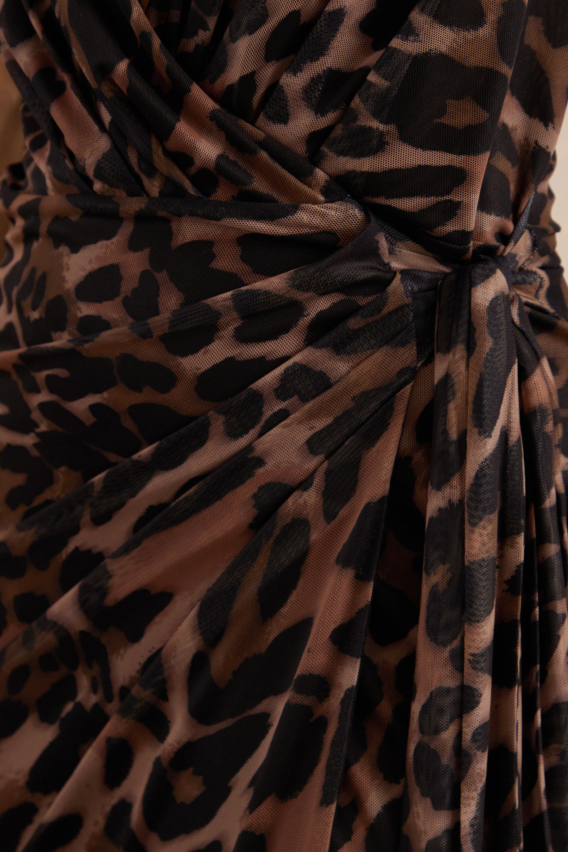 Anwen | Leopard Print Mesh V-Neck Maxi Dress With Front High Split