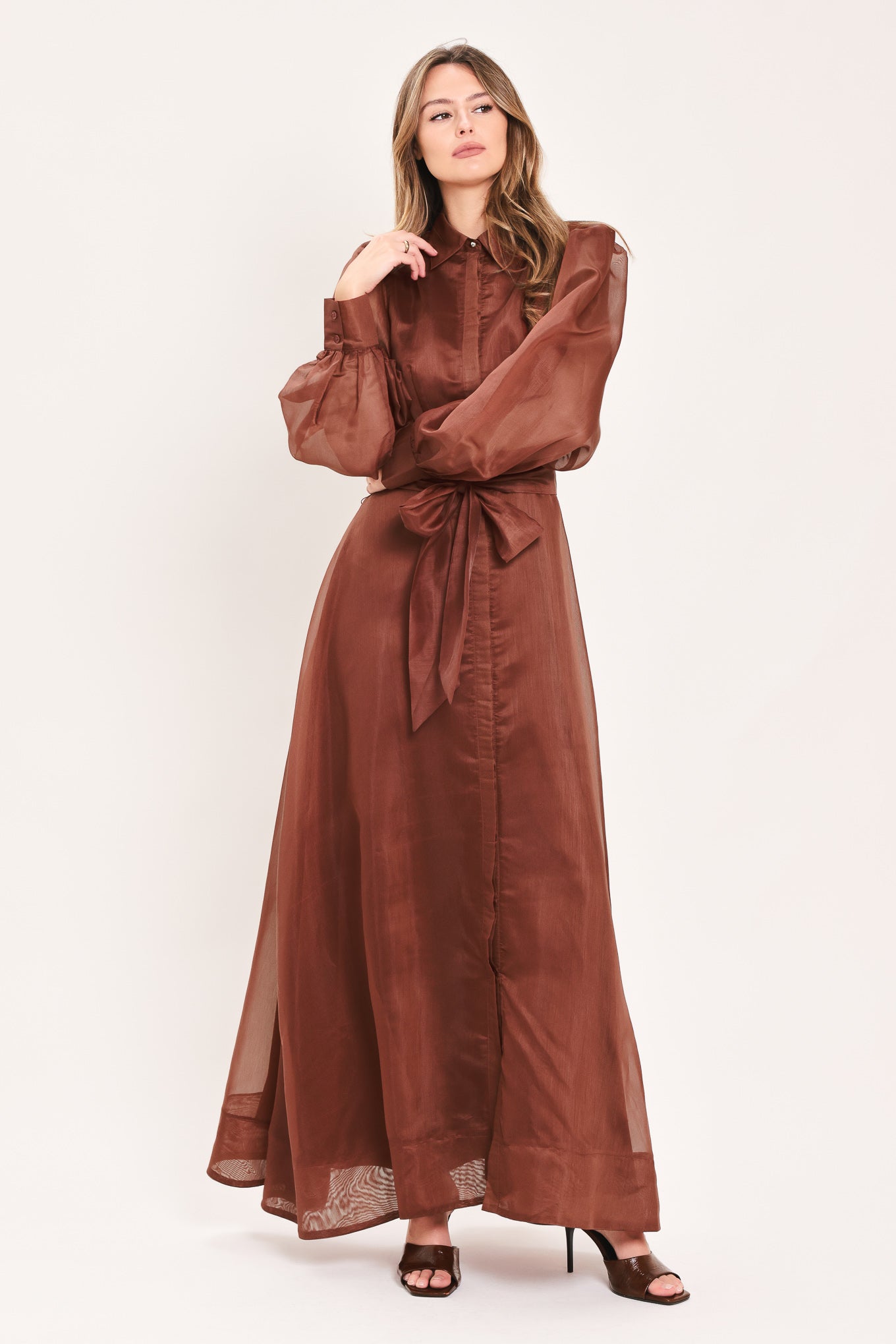 CEDARLIGHT EMBRACE RUST ORGANZA MAXI DRESS
