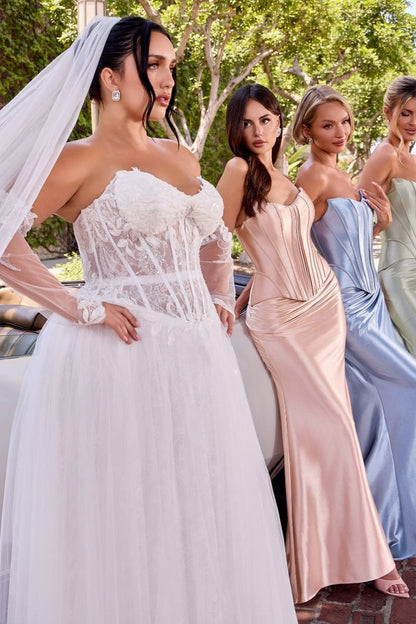 Chase Corset & Skirt Set Two Piece Satin Gown