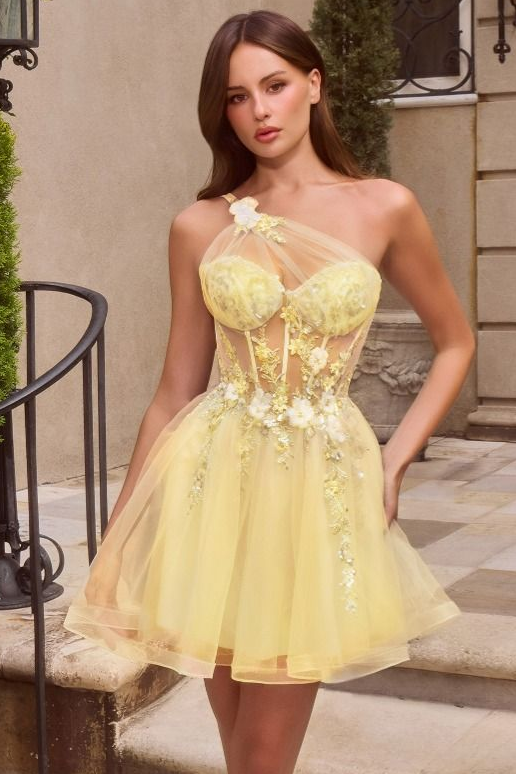 Clarice Mini Dress Floral Corset Cocktail Dress