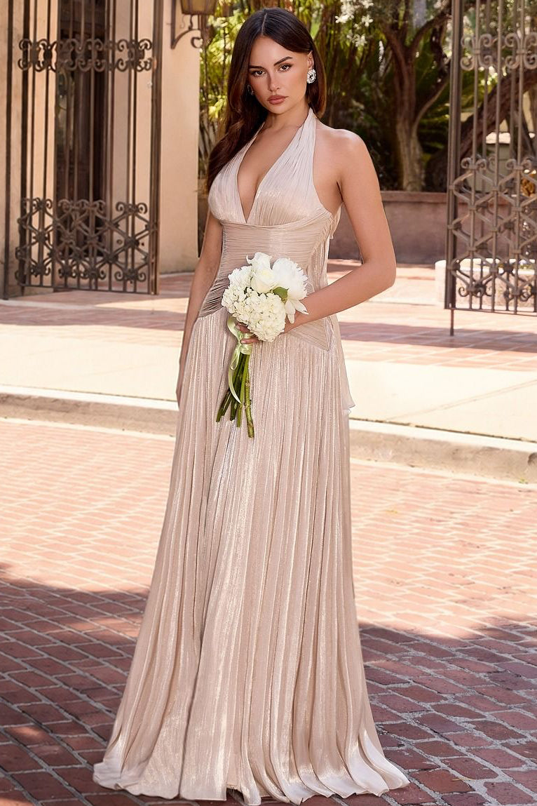 Brigid Gown Shimmer Chiffon Halter Dress