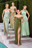 Ida Gown Strapless Shimmer Chiffon Dress with Scarf
