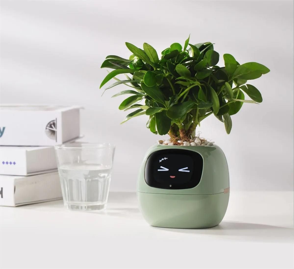 Interactive AI Smart Planter With Expressions And Sensor Technology 6