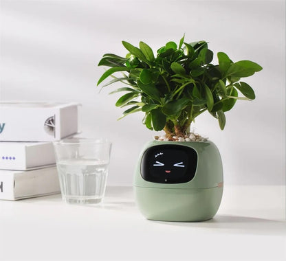 Interactive AI Smart Planter With Expressions And Sensor Technology 6