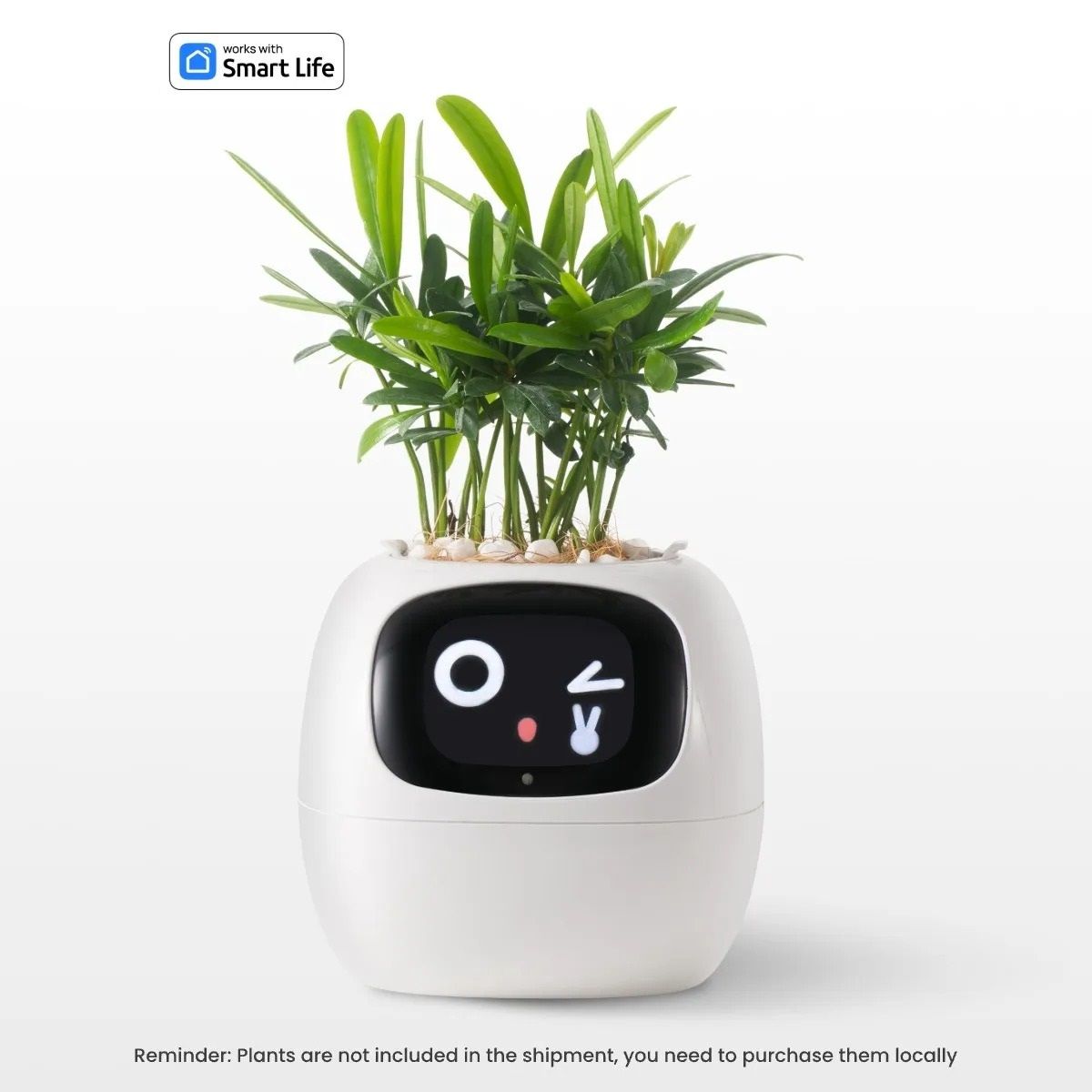 Interactive AI Smart Planter With Expressions And Sensor Technology 7