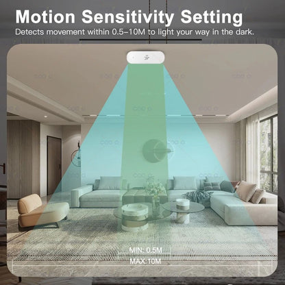 Tuya Zigbee Human Motion Sensor With MmWave Radar Temperature Humidity And Luminance Detection 4