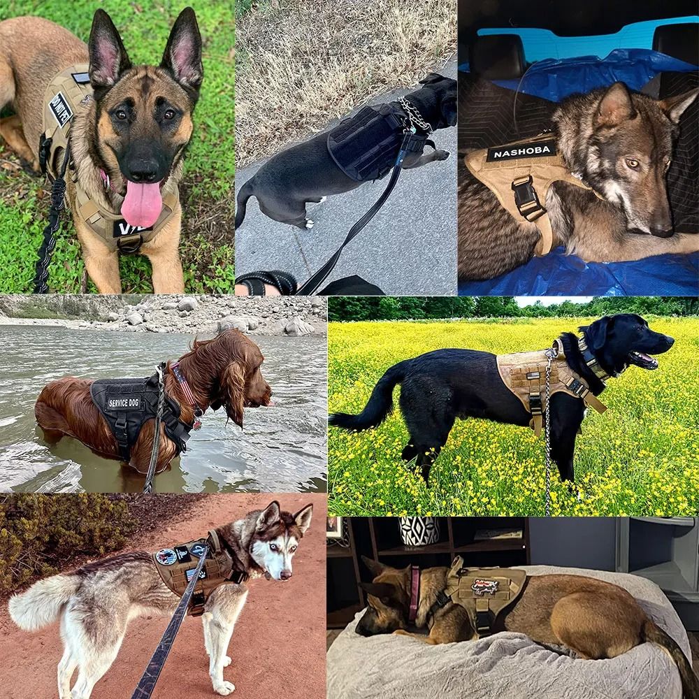 Large Dog Harness And Leash Set For Training And Walking 7