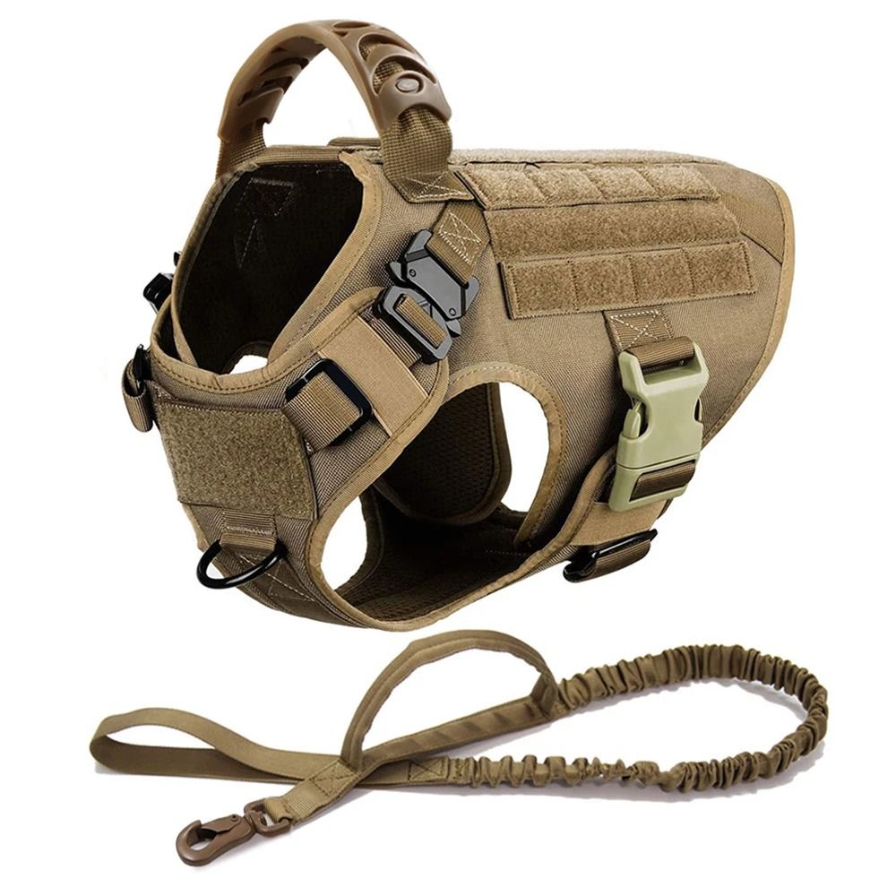 Large Dog Harness And Leash Set For Training And Walking 20