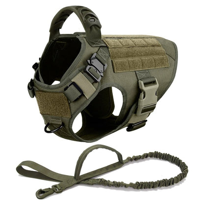 Large Dog Harness And Leash Set For Training And Walking 23