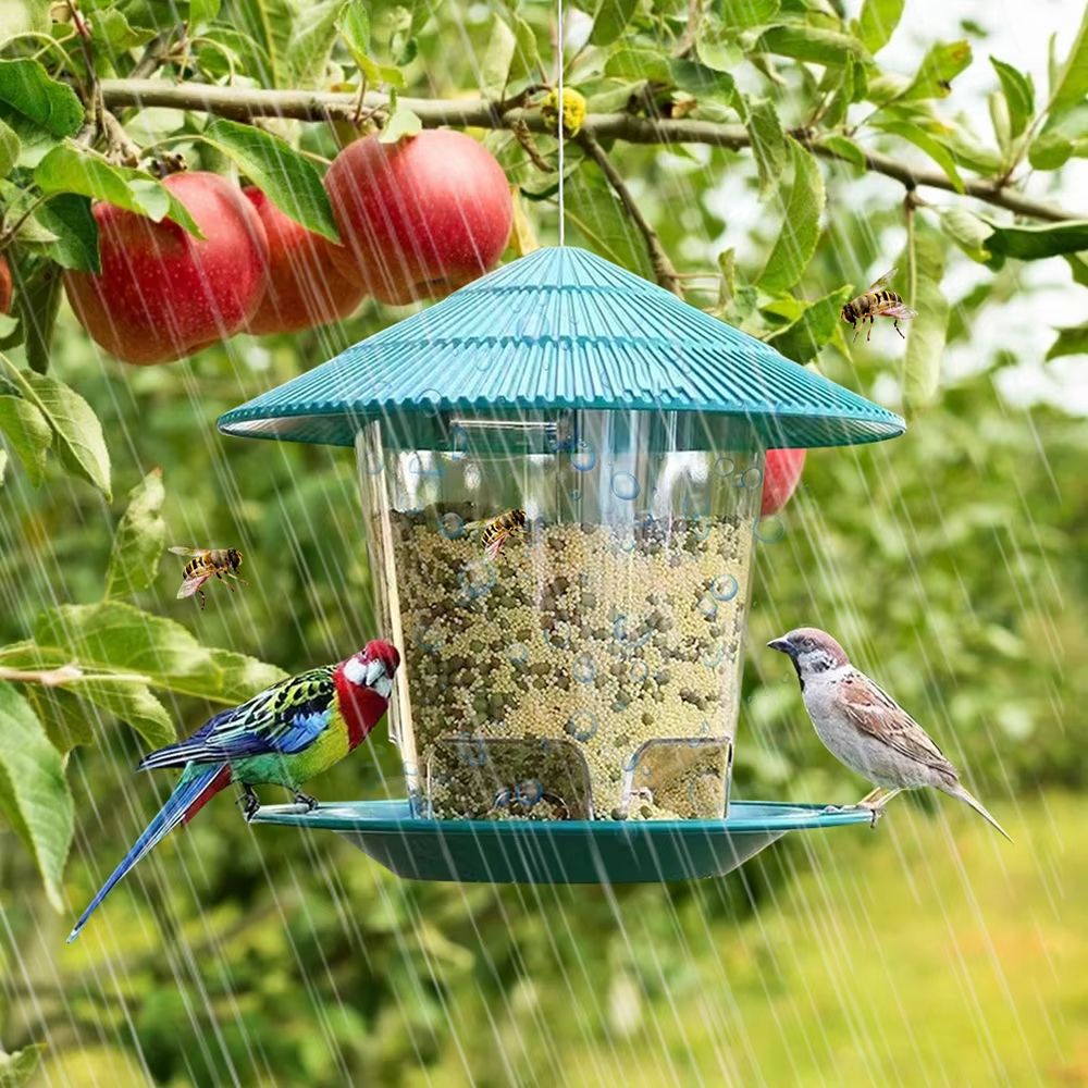 Automatic MultiHole Outdoor Bird Feeder Nut Dispenser 4
