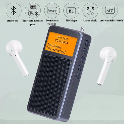 Mini Portable Bluetooth Radio with DSP FM Stereo and Alarm Clock Function