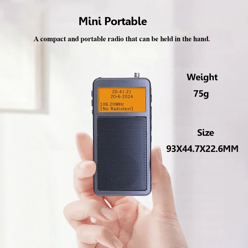 Mini Portable Bluetooth Radio With DSP FM Stereo And Alarm Clock Function 4