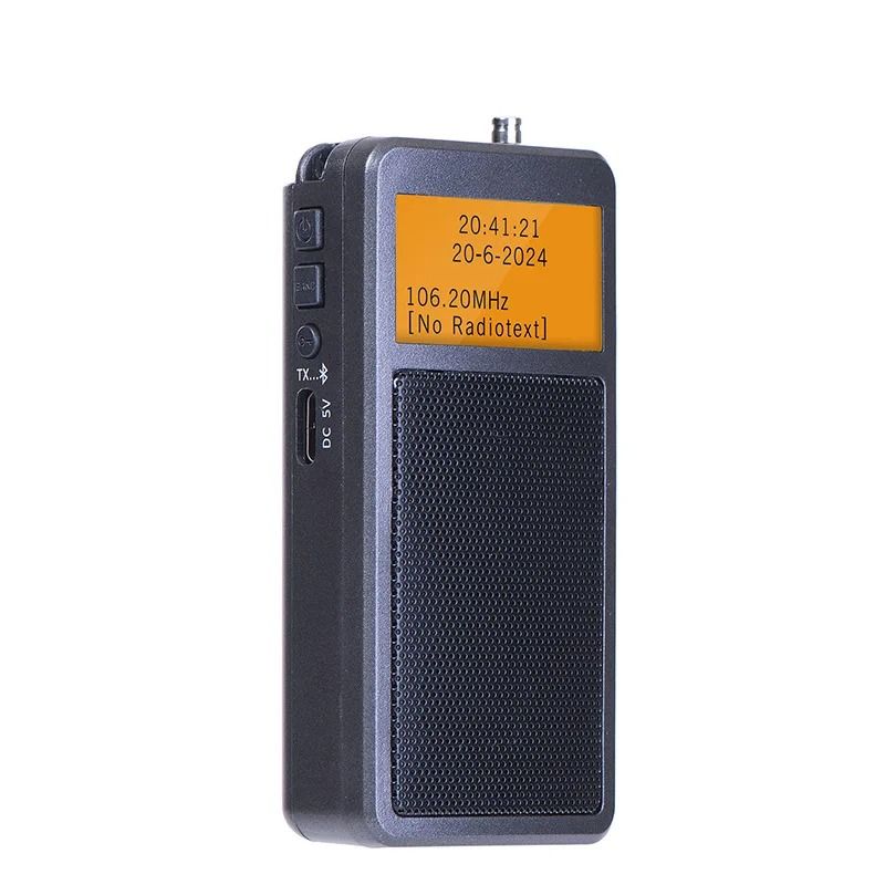 Mini Portable Bluetooth Radio With DSP FM Stereo And Alarm Clock Function 6