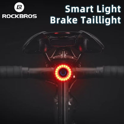 ROCKBROS Smart Brake Bicycle Tail Light  Waterproof USB Rechargeable Rear Bike Light For Road  MTB 1