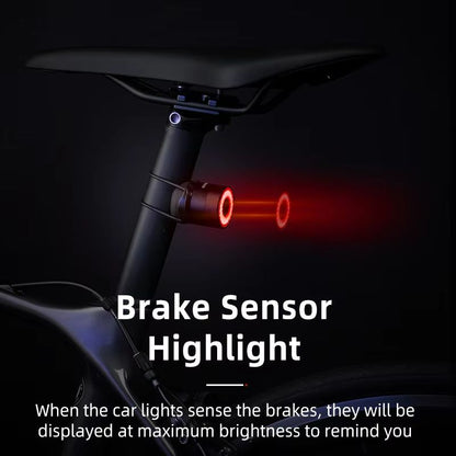ROCKBROS Smart Brake Bicycle Tail Light  Waterproof USB Rechargeable Rear Bike Light For Road  MTB 2