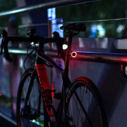 ROCKBROS Smart Brake Bicycle Tail Light  Waterproof USB Rechargeable Rear Bike Light For Road  MTB 5