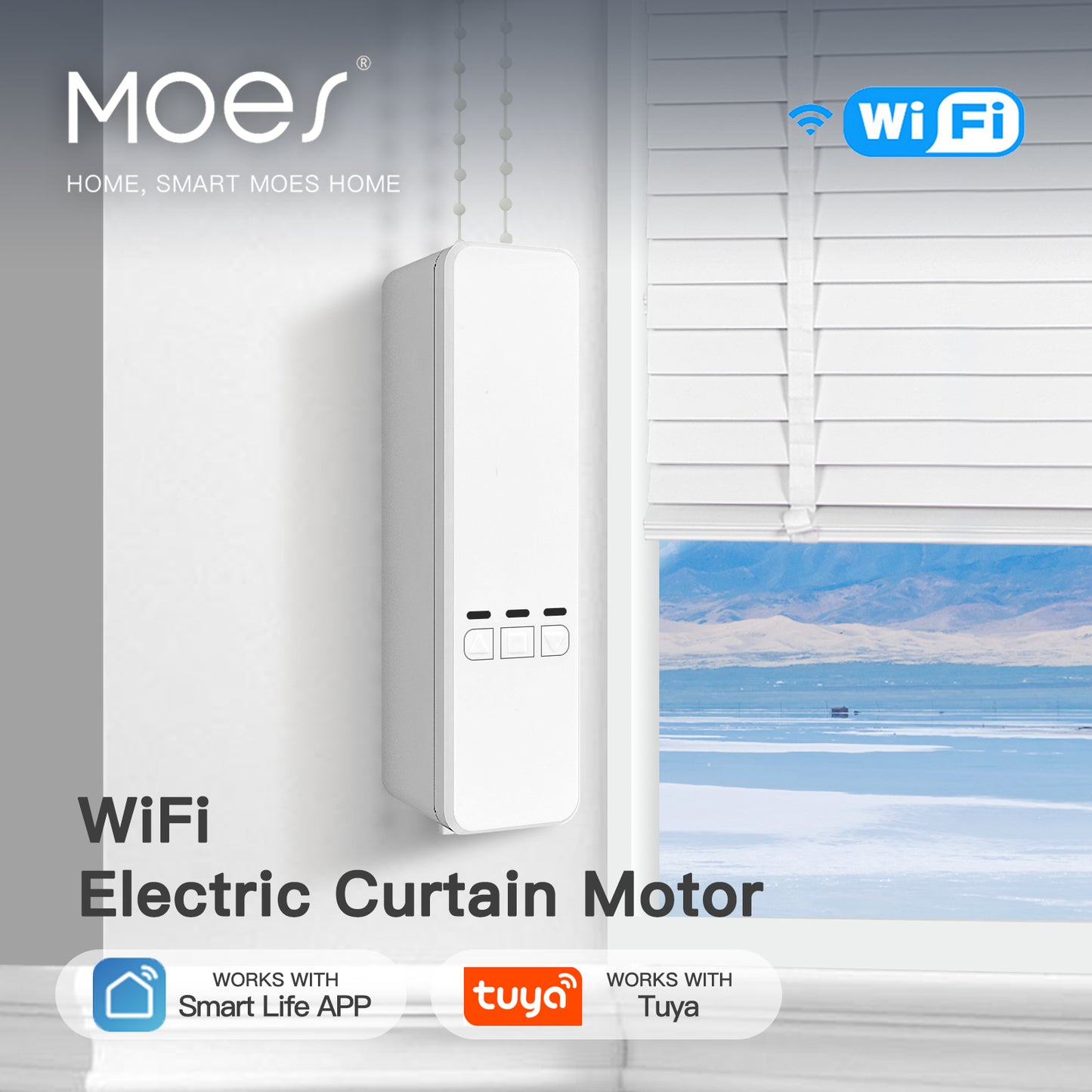 Tuya WiFi Smart Motor for Electric Chain Roller Blinds Shade Shutter Drive with RF Remote & Smart Life App Alexa Google