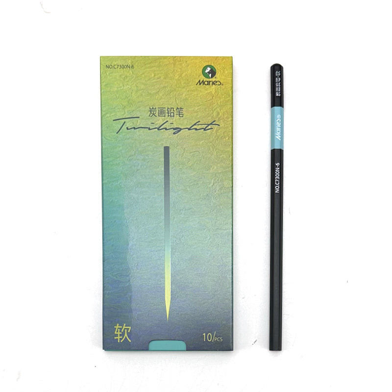 Professional Charcoal Graphite Sketch Set Pencils Box, Shading & Drawing Art Pencils for Artists, Students