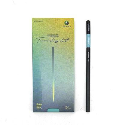 Professional Charcoal Graphite Sketch Set Pencils Box, Shading & Drawing Art Pencils for Artists, Students