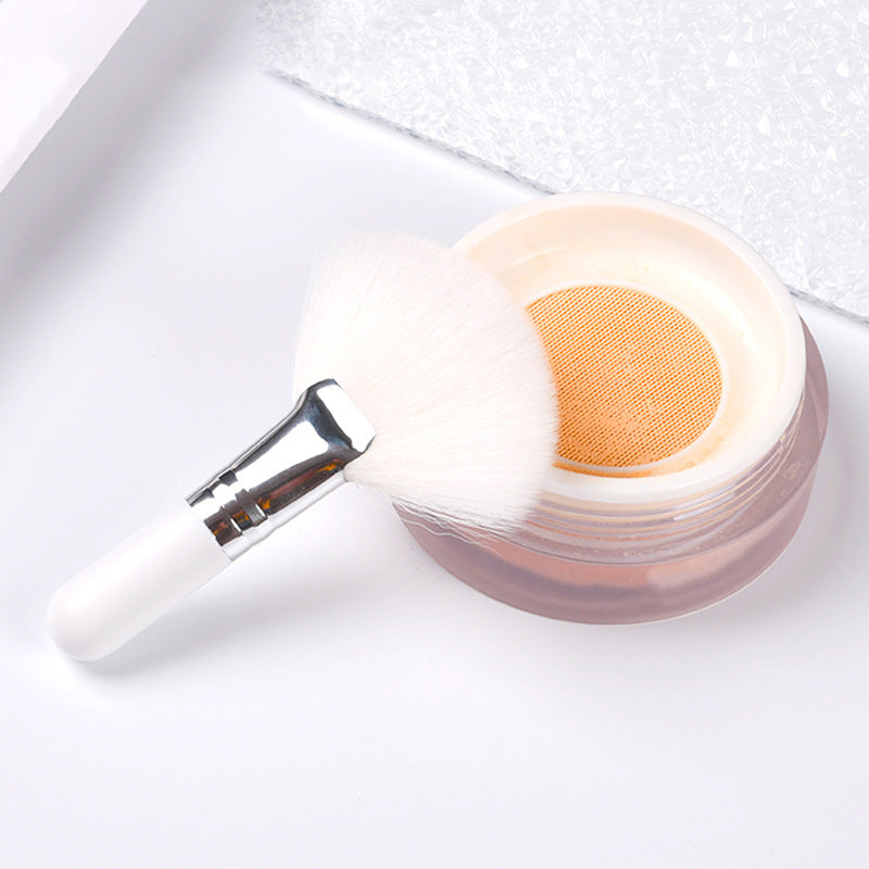 Mini Fan Brush Set for Precise Makeup, Soft Synthetic Brushes for Blush, Powder, Highlighting Makeup Tools