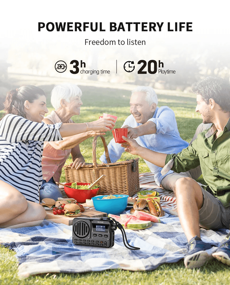 MLOVE BV800 Portable Bluetooth Speaker With FM Radio And LCD Display 3
