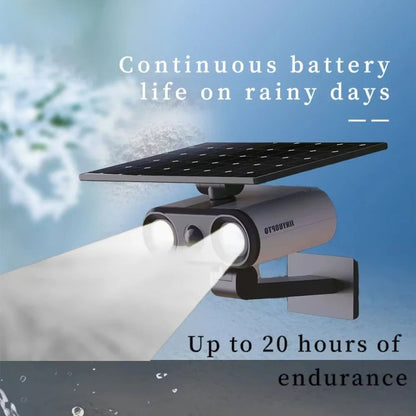 Outdoor Solar Motion Sensor Light With Waterproof IP65 And MultiColor LED Options 2
