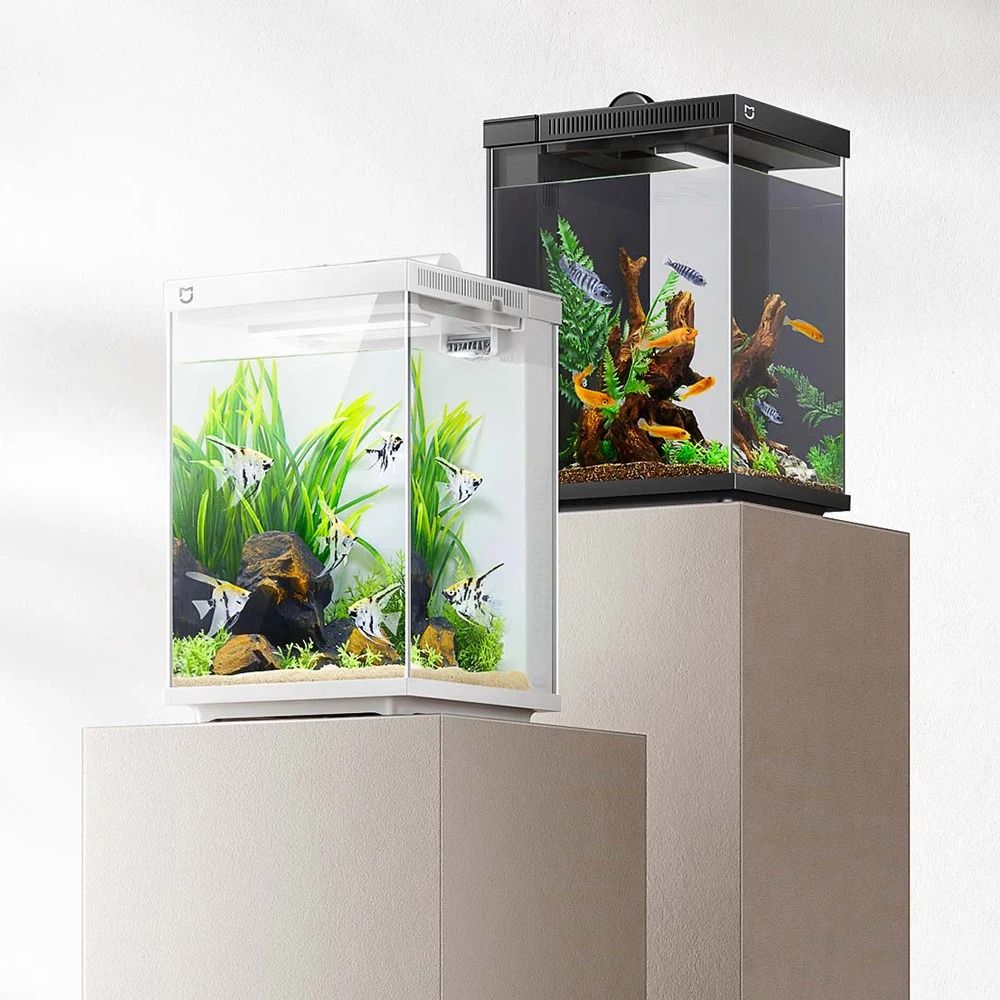Smart Desktop Fish Tank with Remote Feeding and Lighting