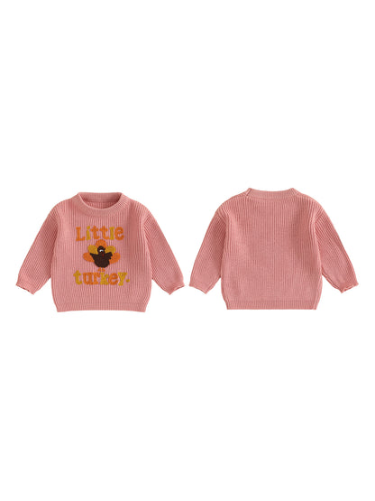 Baby Thanksgiving Sweater, Cozy Fall Long Sleeve Knit Top with Turkey Embroidery and Crewneck Design for Infants