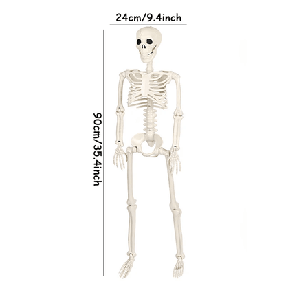 Lifesize Movable Halloween Skeleton Full Body Fake Skull  Bones For Haunted House Home Bar And Horr 7