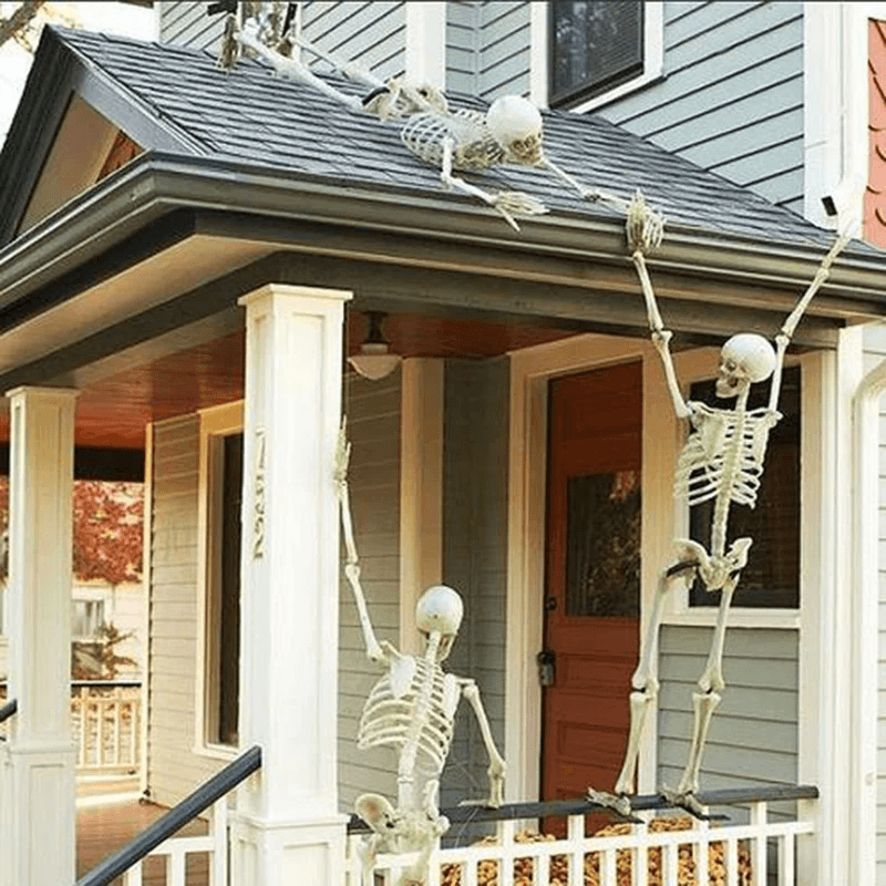 Life-size Movable Halloween Skeleton, Full Body Fake Skull & Bones for Haunted House, Home Bar, and Horror Party Decor