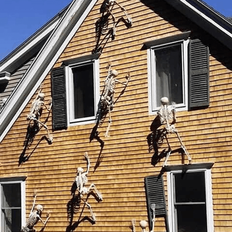Lifesize Movable Halloween Skeleton Full Body Fake Skull  Bones For Haunted House Home Bar And Horr 4
