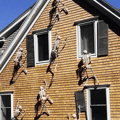 Lifesize Movable Halloween Skeleton Full Body Fake Skull  Bones For Haunted House Home Bar And Horr 4