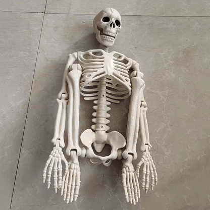 Lifesize Movable Halloween Skeleton Full Body Fake Skull  Bones For Haunted House Home Bar And Horr 5