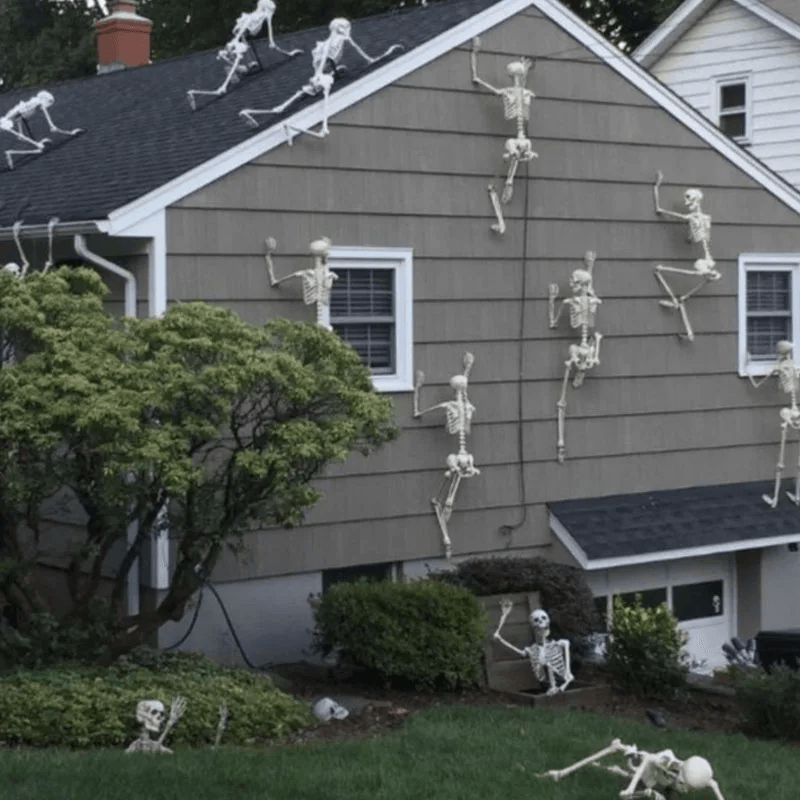 Lifesize Movable Halloween Skeleton Full Body Fake Skull  Bones For Haunted House Home Bar And Horr 1