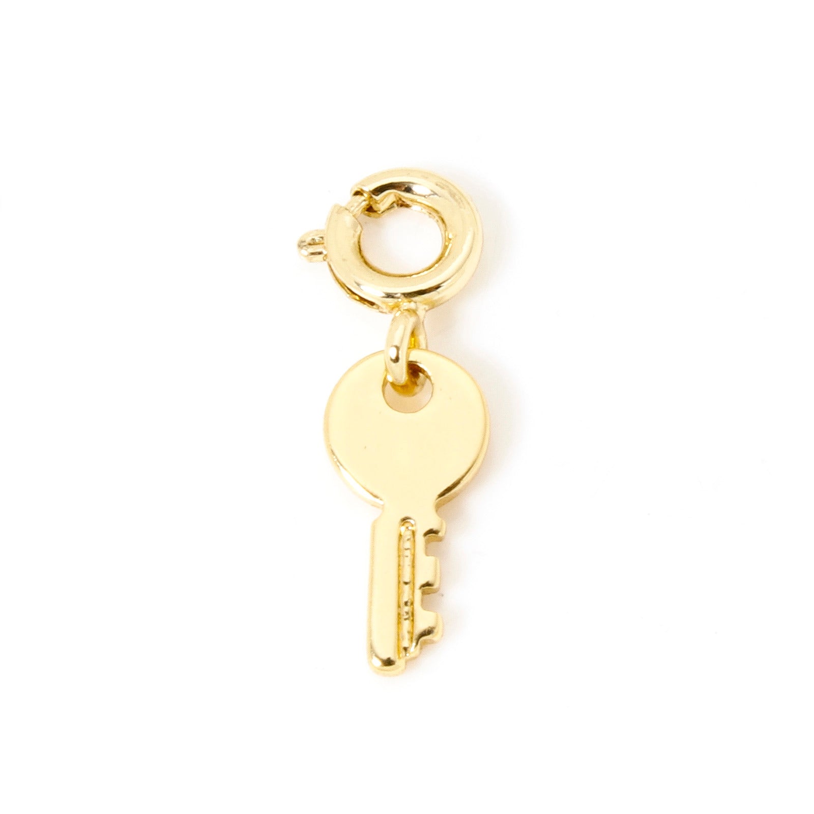 Gold Plated Brass Charms With Spring Ring Clasp Heart  Horseshoe Pendants For DIY Necklace  Bracele