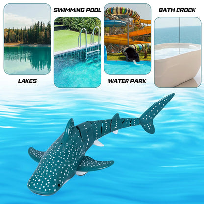 Remote Control Shark Whale Spray Water Toy For Kids 5