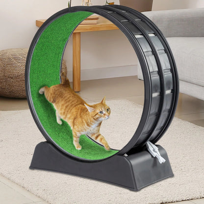 Cat Exercise Wheel, Cat Wheels for Indoor Cats, Cat Treadmill Wheel Exerciser with Carpeted Runway, Cat Running Wheel