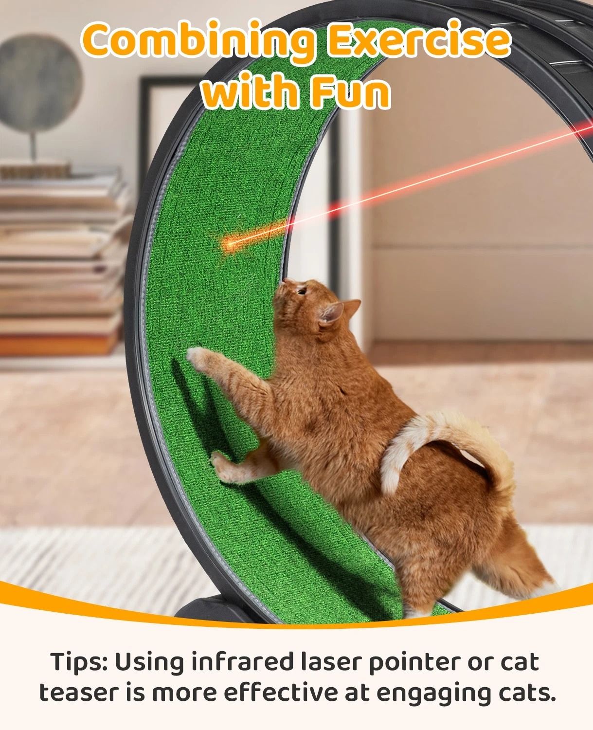 Cat Exercise Wheel Cat Wheels For Indoor Cats Cat Treadmill Wheel Exerciser With Carpeted Runway Ca 3