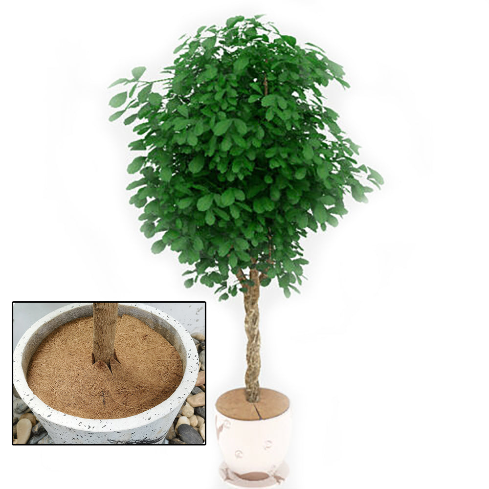 Natural Coconut Fiber Tree Mulch Mat Cover Protector Flower Pot Disc Pad Weed Control Moisture Rete 5
