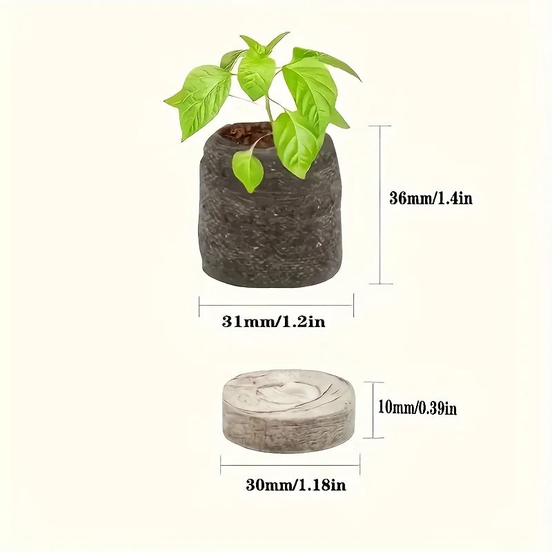 Coconut Coir Fiber Seed Starter Blocks With Nursery Tray Compressed Soil For Plant Cutting Vegetabl 4