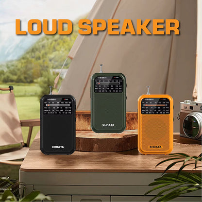 XHDATA D220 Portable Retro Radio  Vintage FMMWSW 4Band Pocket Radio With DSP High Sensitivity Recei 2
