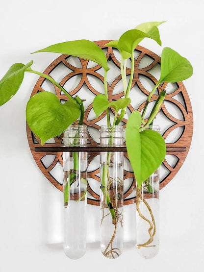 Rustic Wooden Wall Planter with Glass Tube Propagation Station – Hanging Indoor Plant Holder & Flower Vase Rack