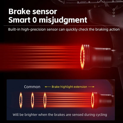 Smart Bike Tail Light Waterproof USB Rechargeable Rear Cycling Light 1