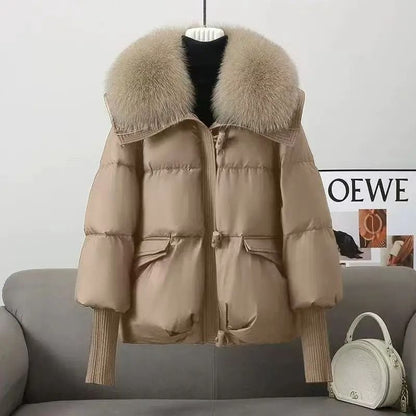 Winter Down Cotton Padded Jacket For Women With Fur Collar 9