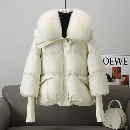 Winter Down Cotton Padded Jacket For Women With Fur Collar 4
