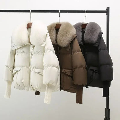 Winter Down Cotton Padded Jacket For Women With Fur Collar 5