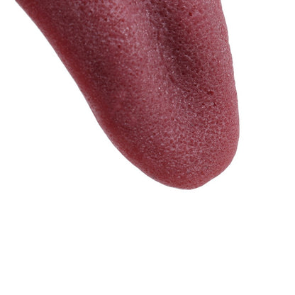 Horror Magic Tricks Prank Toy Fake Simulation Tongue For Halloween Gags Kids Decompression Fun  Par 2
