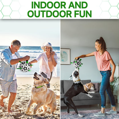 Damaly Interactive Dog Soccer Toy with Grip Ring, Durable Water Ball for Chasing & Playing, No Battery Needed