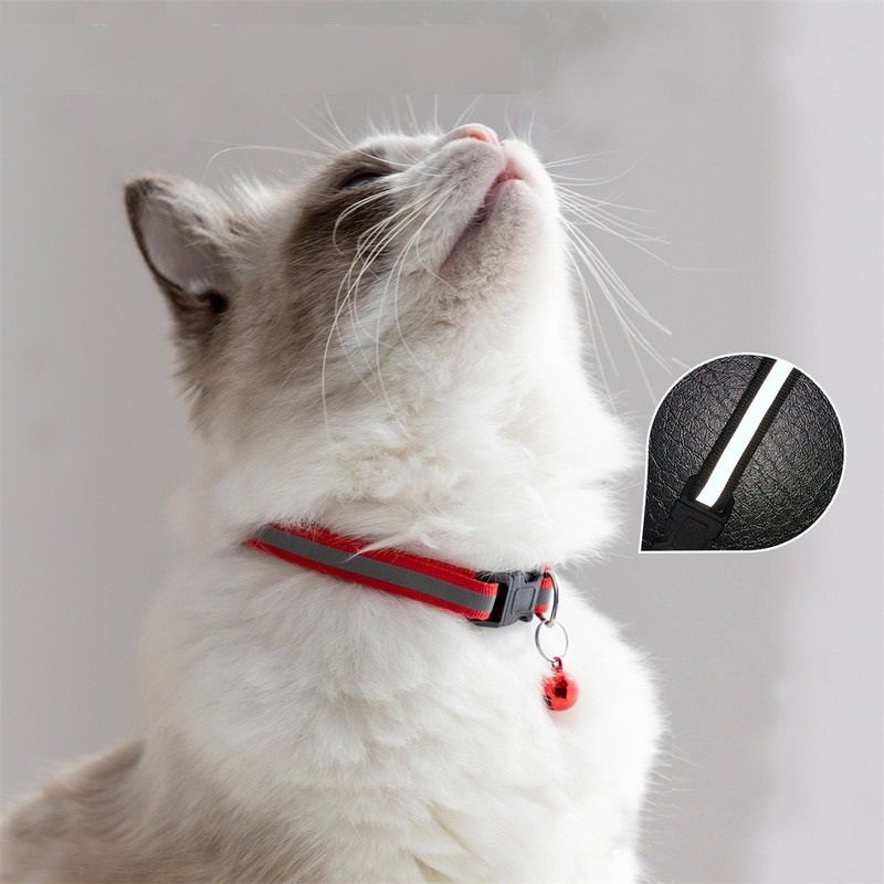 Safety Collar with Bell for Cats & Small Dogs, Reflective & Adjustable for Nighttime Visibility and Peace of Mind